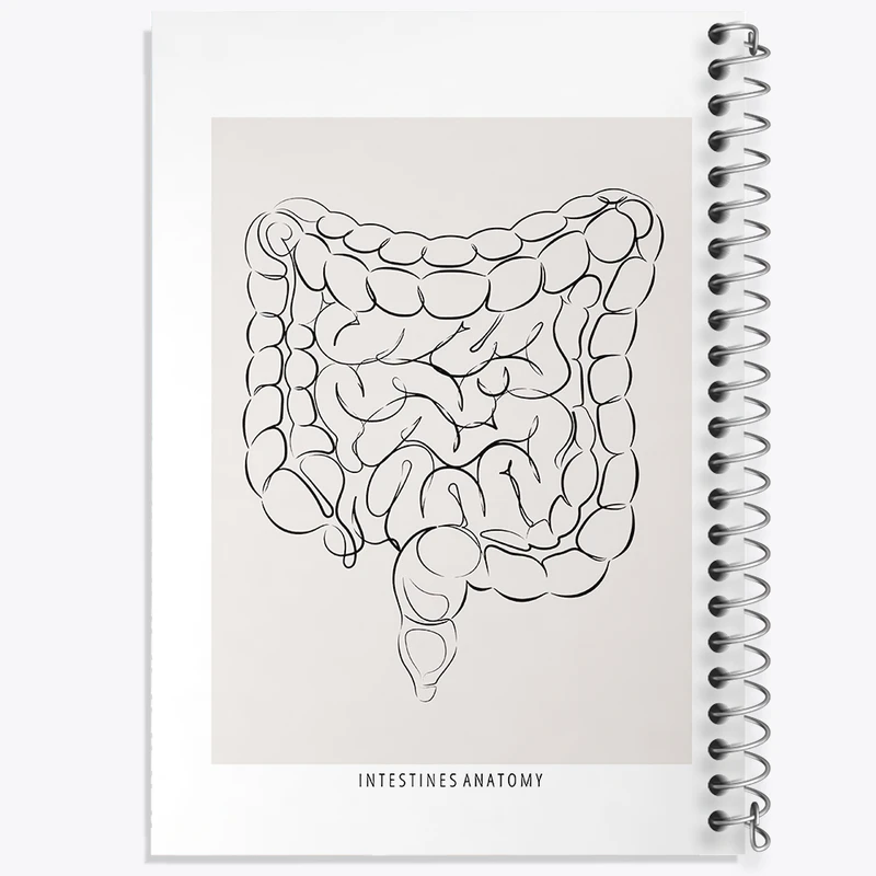 دفتر مشق 100 برگ خندالو طرح آناتومی روده (Intestines Anatomy) کد F13933
