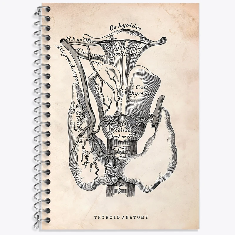 دفتر زبان 50 برگ خندالو مدل سه خط طرح آناتومی تیروئید (Thyroid Anatomy) کد F13953
