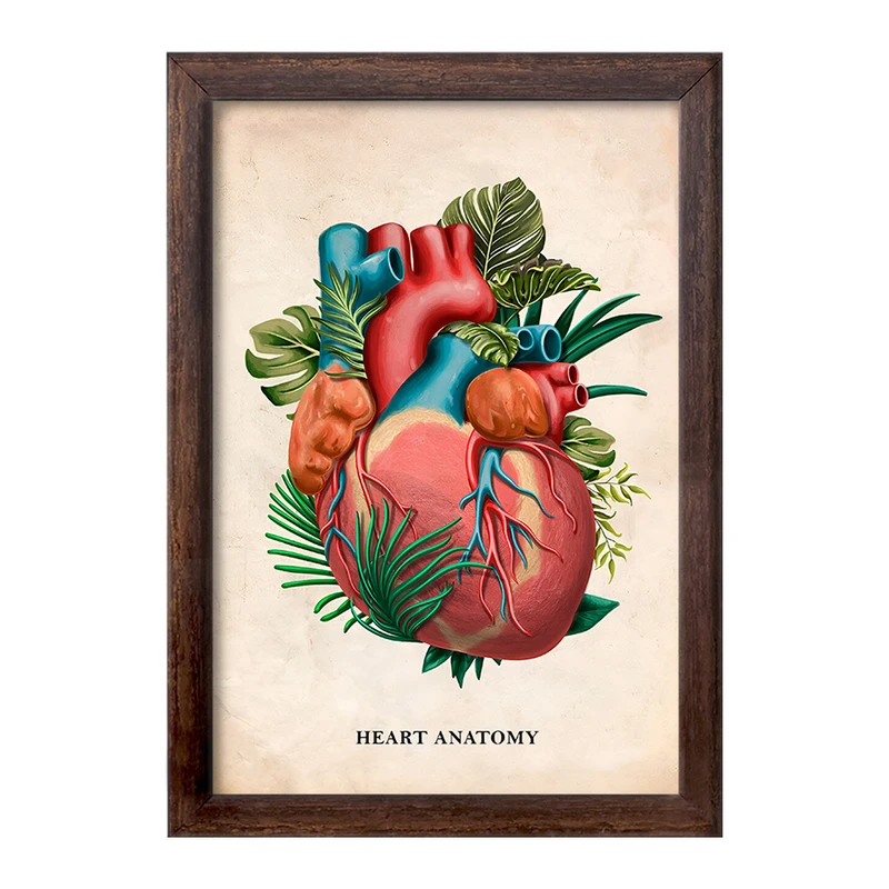 تابلو خندالو طرح آناتومی قلب (Heart Anatomy) کد F13986