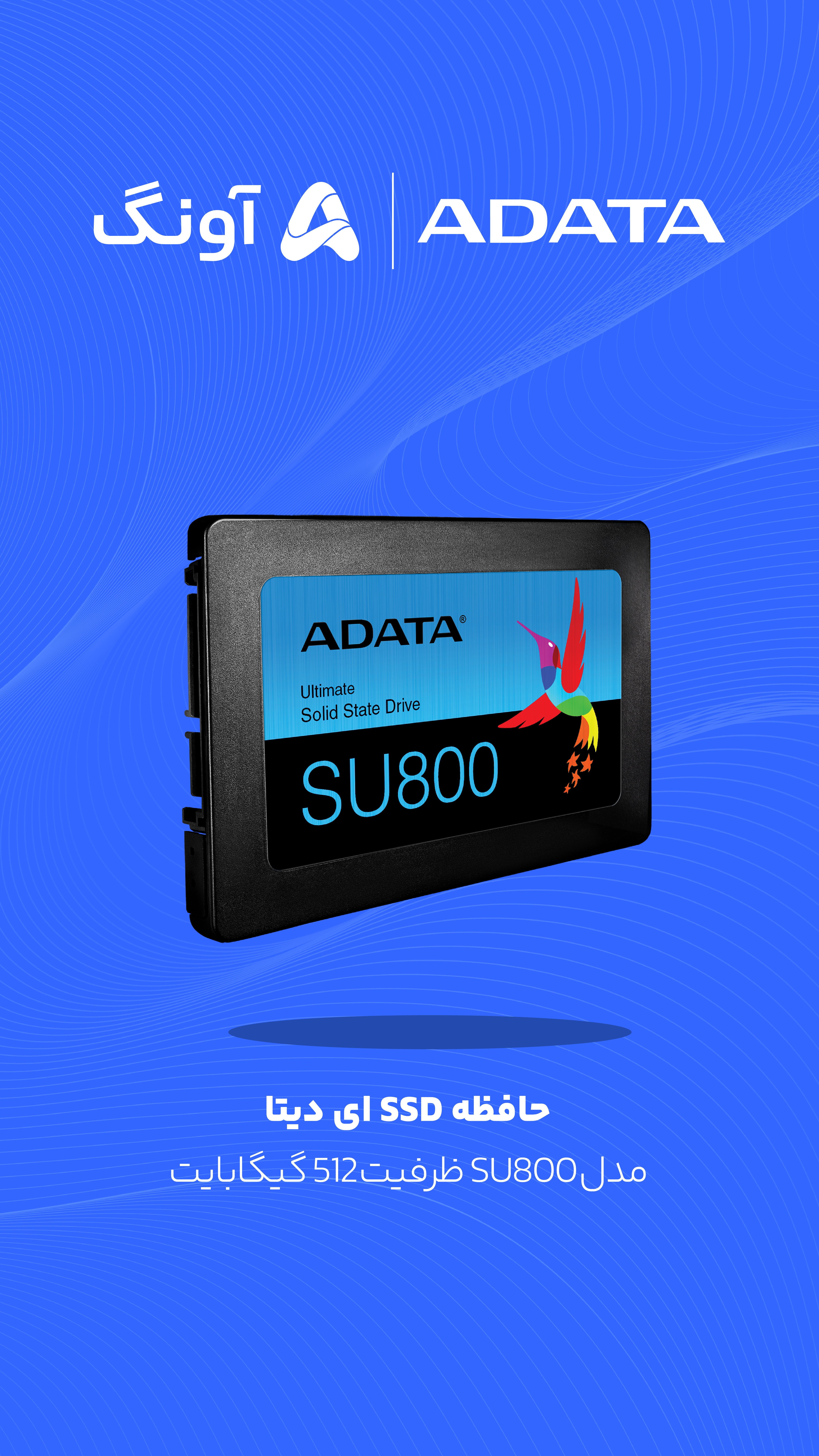قیمت و خرید حافظه SSD ای دیتا مدل SU800 ظرفیت 256 گیگابایت قیمت و خرید حافظه SSD ای دیتا مدل SU800 ظرفیت 256 گیگابایت