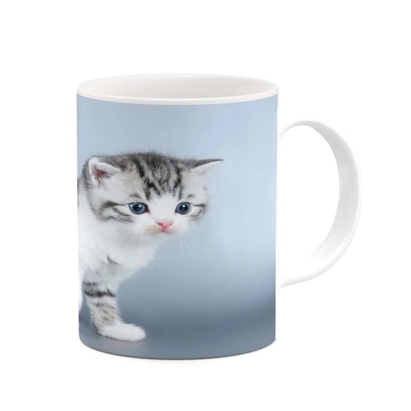 ماگ کاکتی مدل گربه کد mgh14464