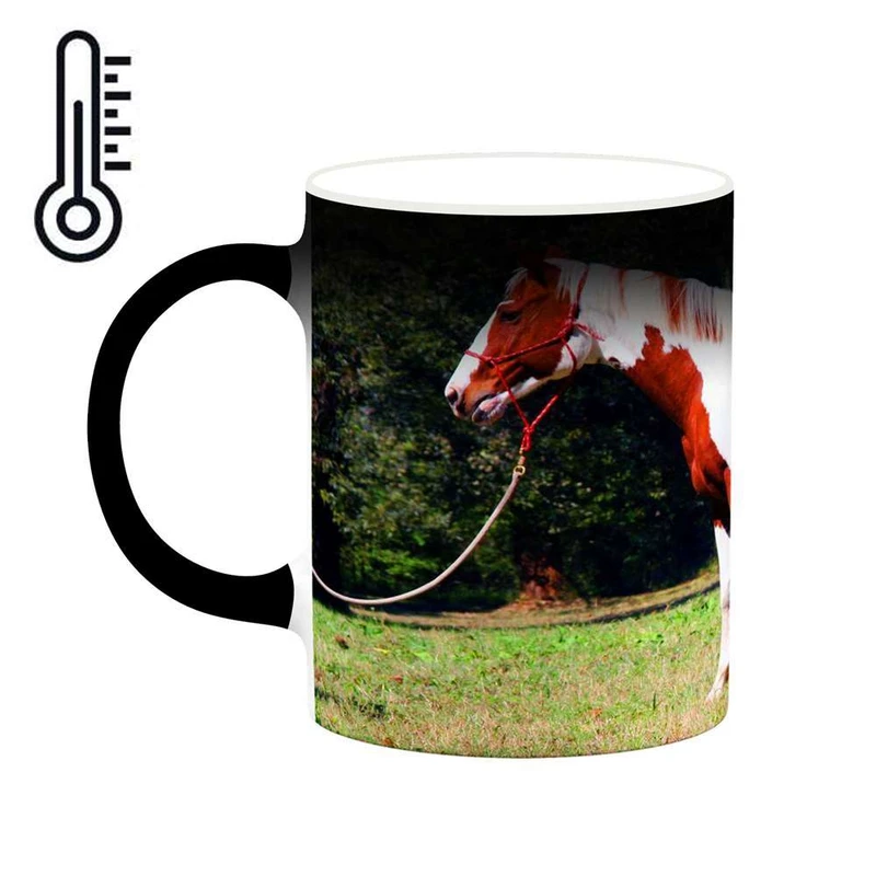 ماگ حرارتی کاکتی مدل اسب کد mgh24068