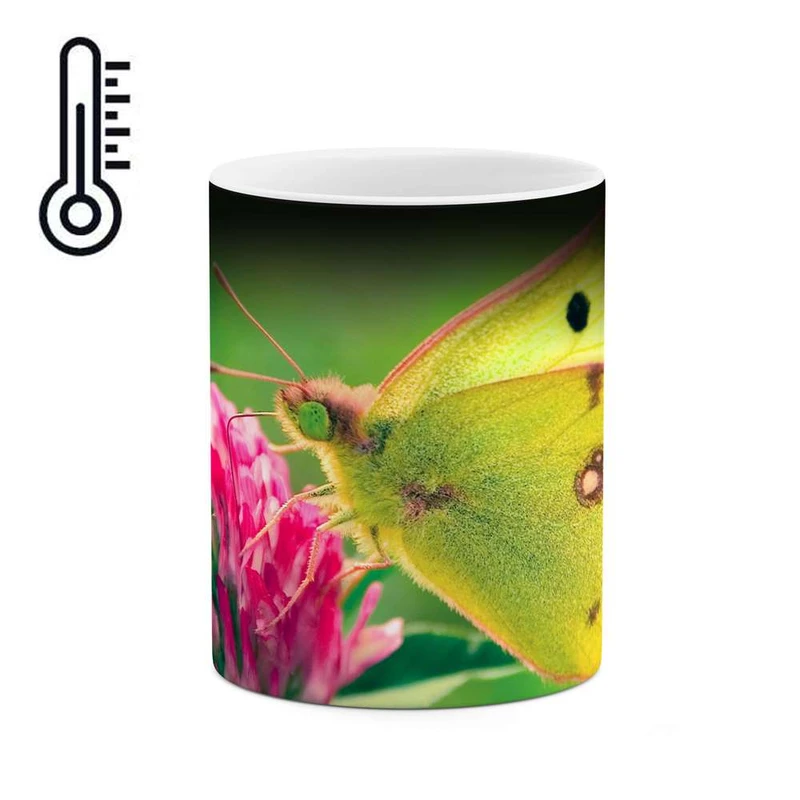 ماگ حرارتی کاکتی مدل پروانه کد mgh12052