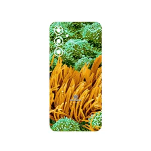 MAHOOT Atom Universe 6 Cover Sticker for Samsung Galaxy A54