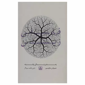 کتاب فلسفی زیستن اثر جوناس سالزجیبر انتشارات شمشاد
