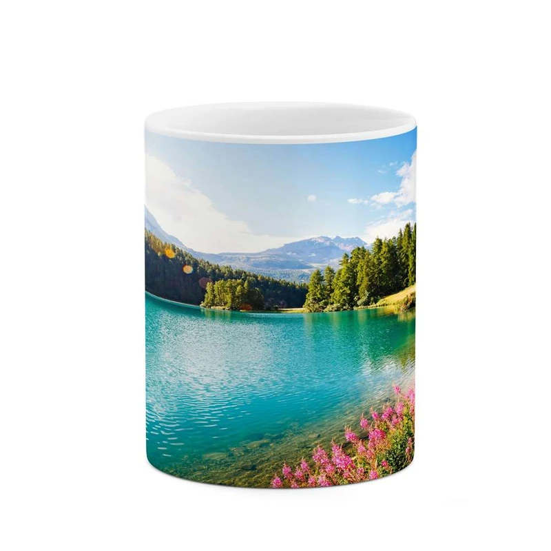 ماگ کاکتی مدل منظره کد mgh15927