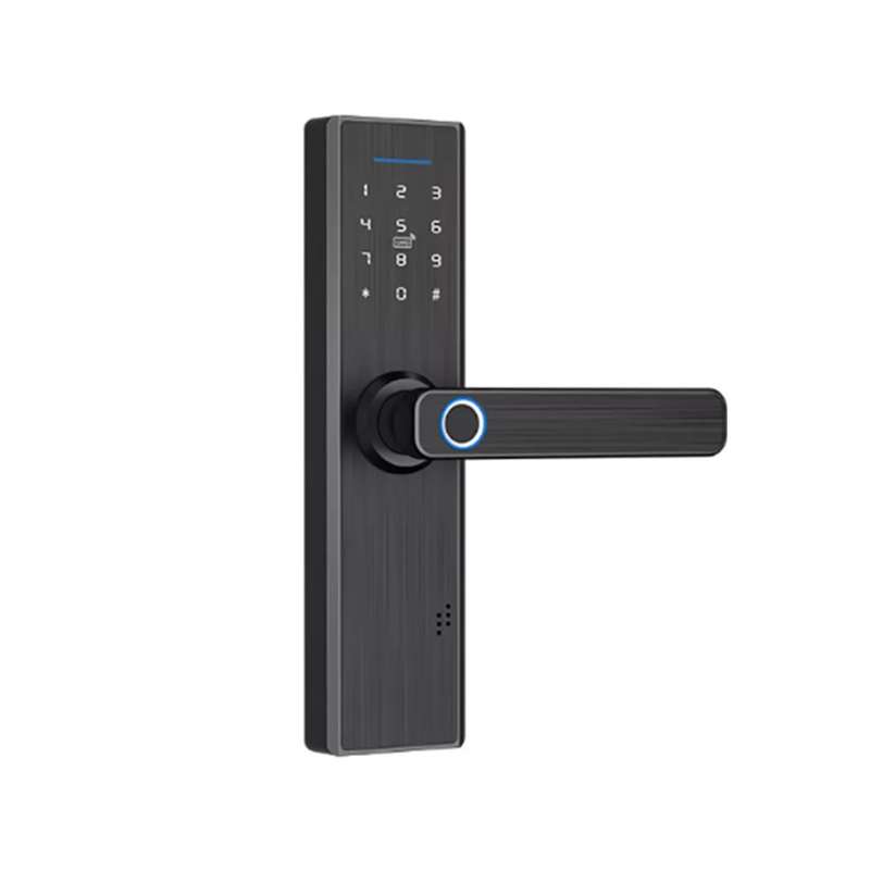 دستگیره هوشمند مدل WE-LS804