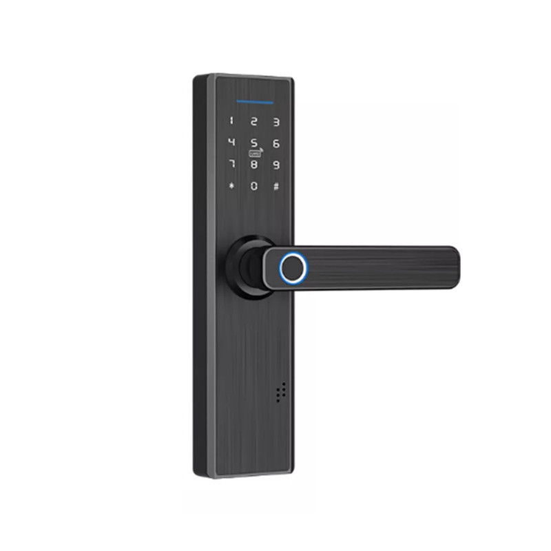 دستگیره هوشمند مدل WE-LS804