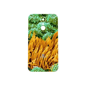 MAHOOT Atom Universe 6 Cover Sticker for LG K10 2017