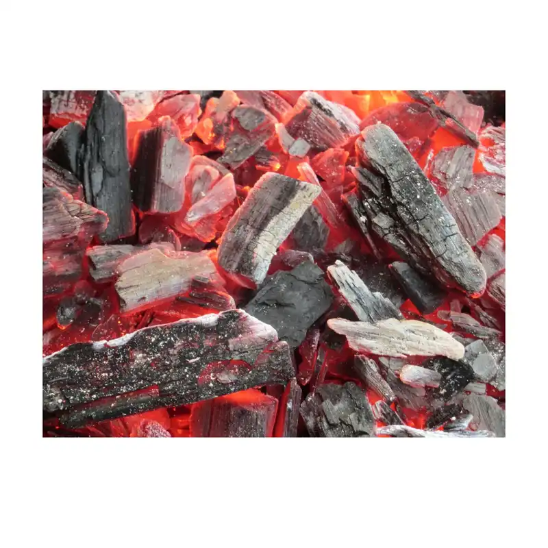 زغال مدل خودسوز M800