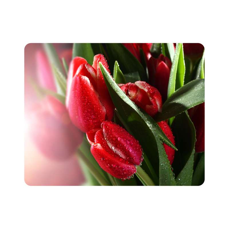 ماوس پد اطلس آبی طرح گل لاله مدل T6789