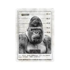 دیوارکوب مدل کینگ کونگ کد s 1743