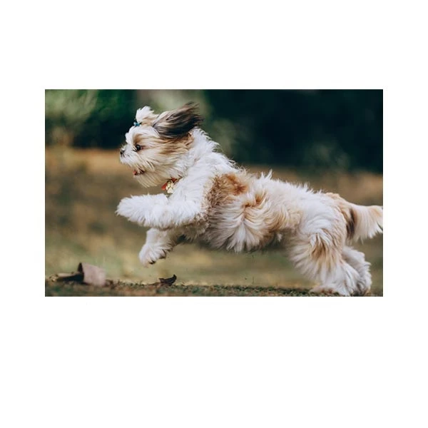    پادری طرح حیوانات کد M35M001-MA0079 سایز 76x46 سانتی متر