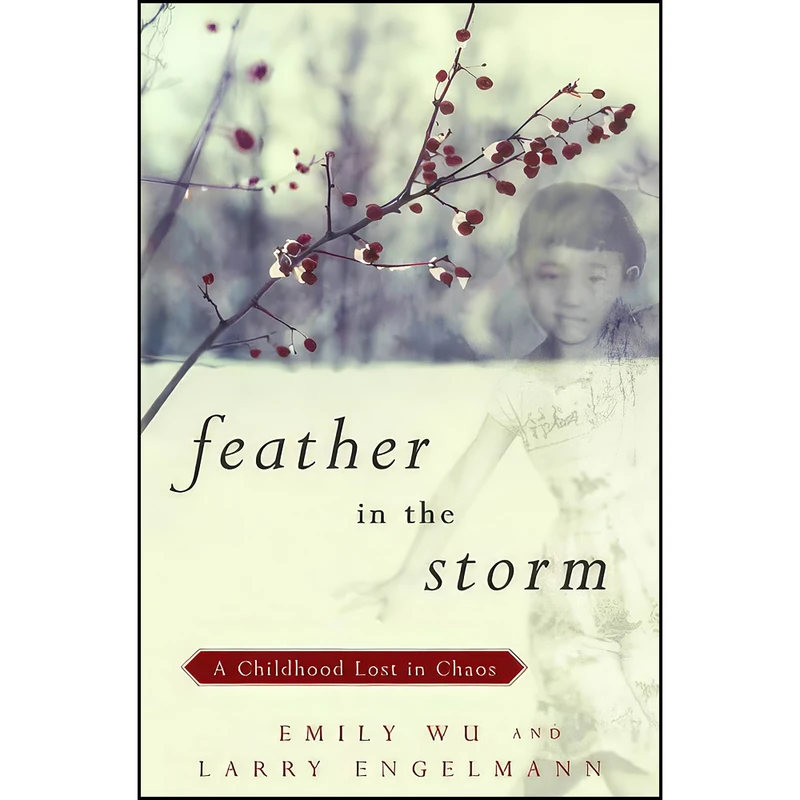 کتاب Feather in the Storm اثر Emily Wu and Larry Engelmann انتشارات Pantheon