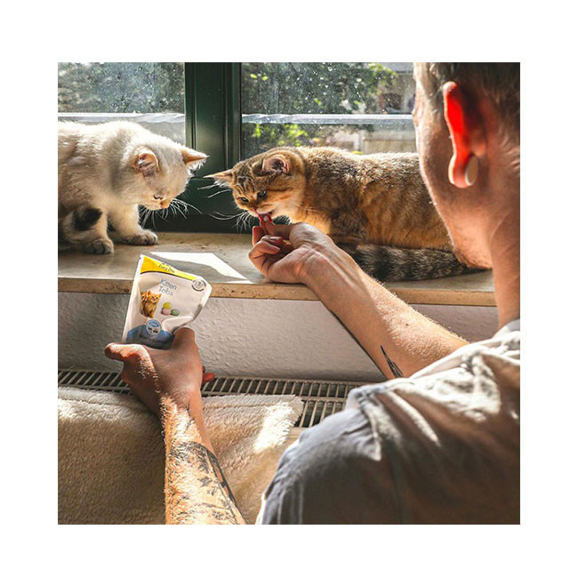 قرص مکمل بچه گربه جیم کت مدل طعم شیر وزن 40 گرم