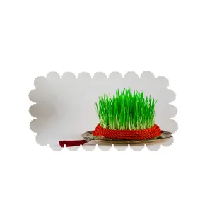  رومیزی طرح سبزه کد 5767R