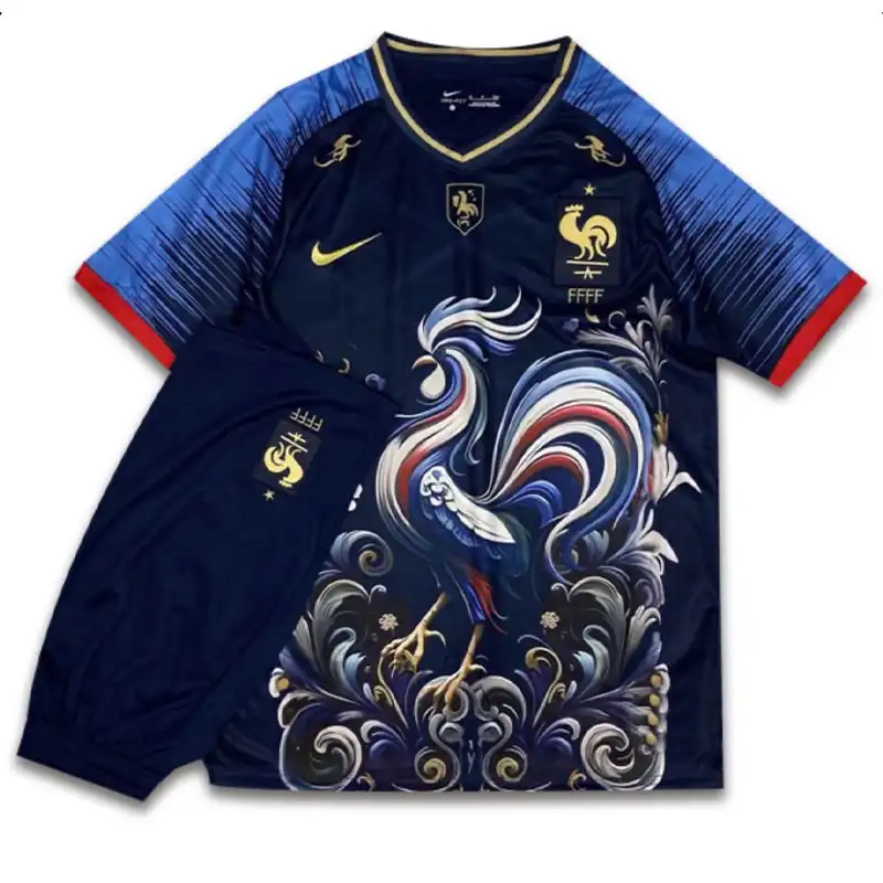 ست تی شرت و شلوارک ورزشی مردانه مدل فرانسه Concept 2024