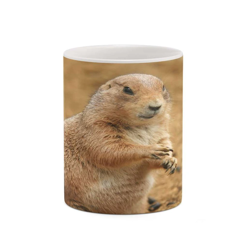 ماگ کاکتی مدل سمور کد mgh19236