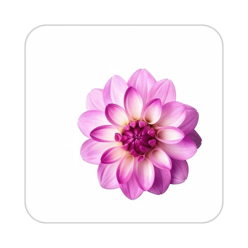 زیر لیوانی کاکتی طرح گل مدل mp18446