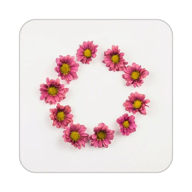 زیر لیوانی کاکتی طرح گل مدل mp19145