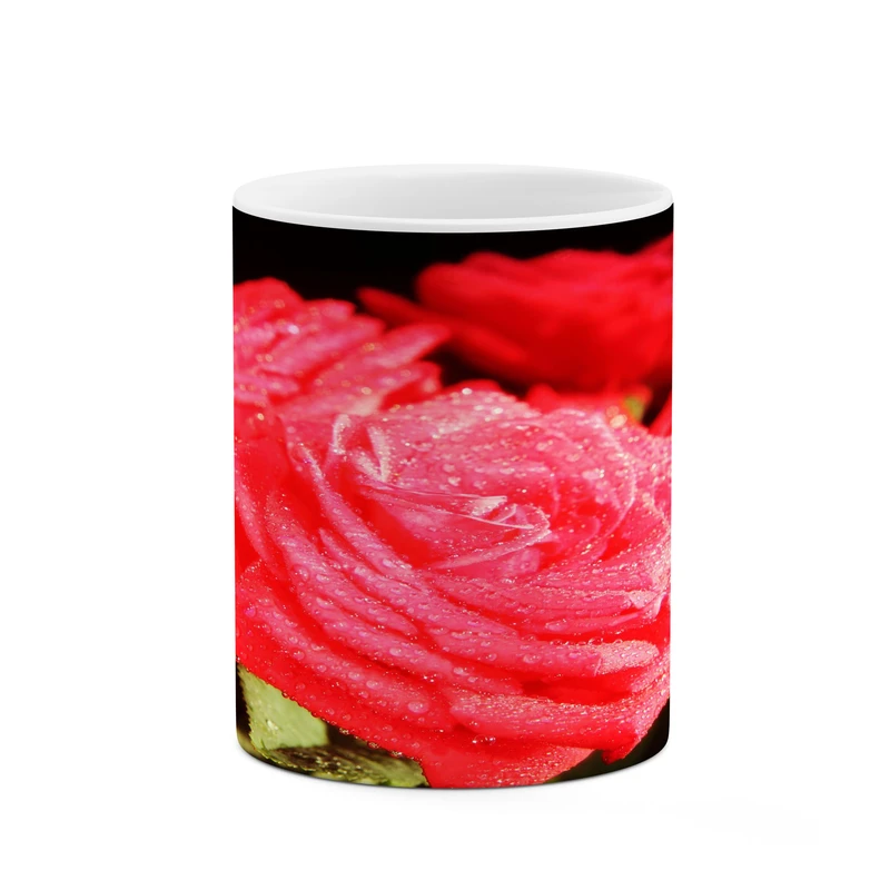 ماگ کاکتی مدل گل رز کد mgh18065