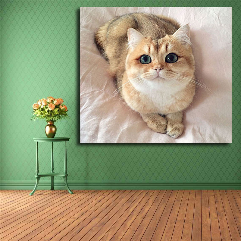 تابلو شاسی مدل گربه کد 25