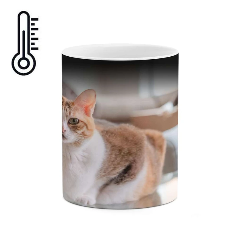 ماگ حرارتی کاکتی مدل گربه کد mgh14513