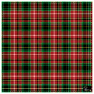 دستمال سر و گردن رنس مدل HH1-10094