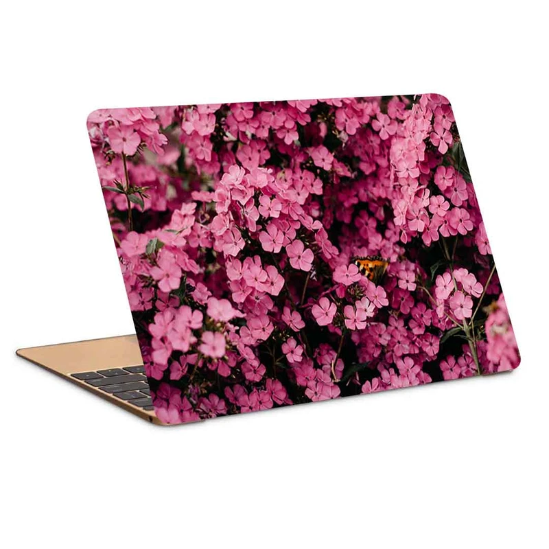 استیکر لپ تاپ طرح pexels-iri کد P-896 مناسب برای لپ تاپ 15.6 اینچ
