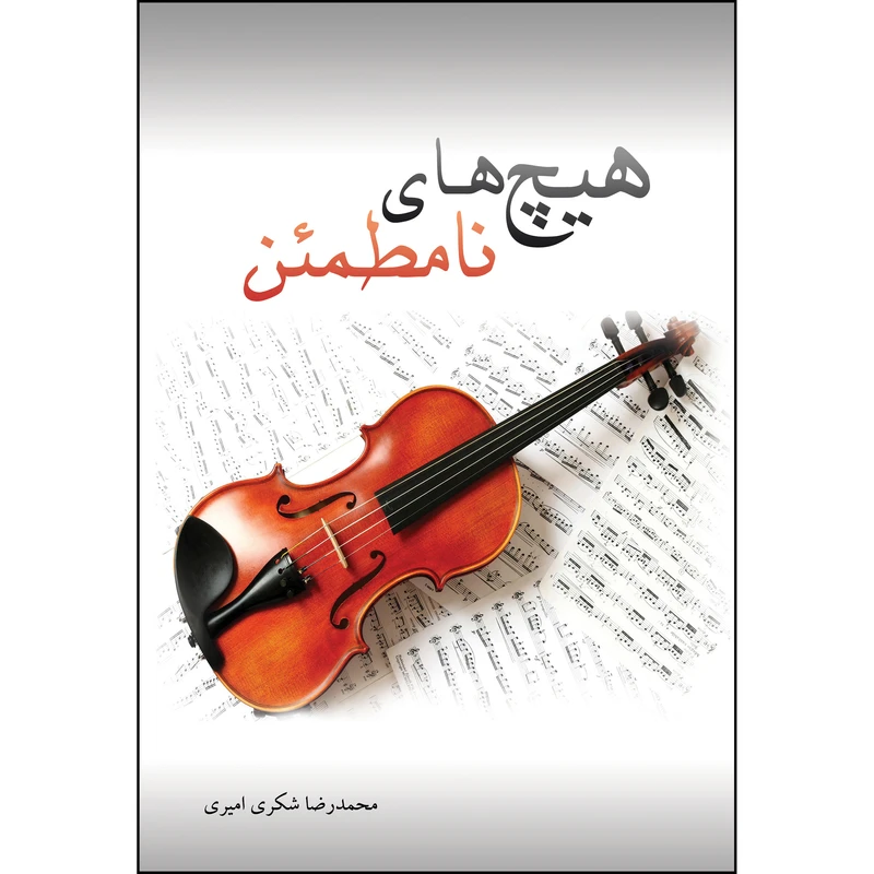 کتاب هیچ های نامطمئن اثر محمدرضا شکری امیری انتشارات ارسطو