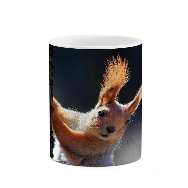 ماگ کاکتی مدل سنجاب کد mgh16232