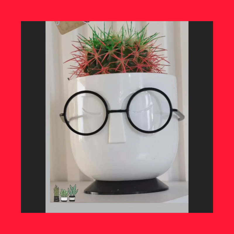 گلدان مدل عینکی فانتزی بسته 2 عددی گلدان مدل عینکی فانتزی بسته 2 عددی