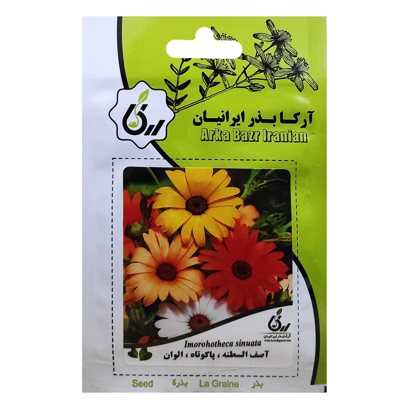  بذر اصف السطنه پاکوتاه الوان آرکا بذر ایرانیان کد ARK-038