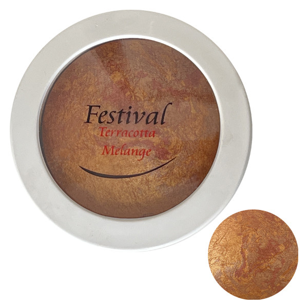 رژگونه فستیوال مدل 504