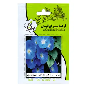 بذر نیلوفر رونده گلدرشت ابی آرکا بذر ایرانیان مدل C94