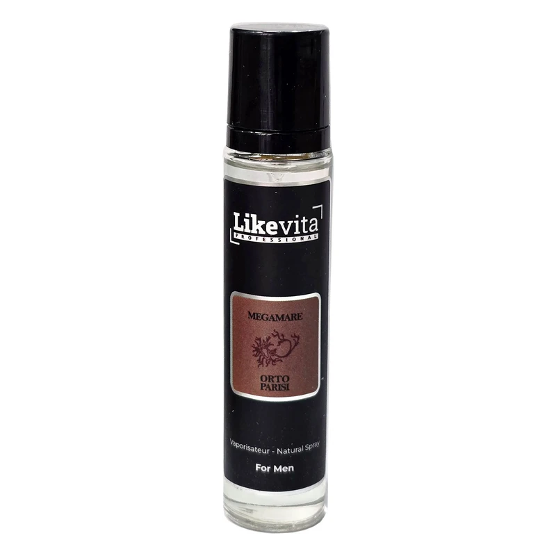 عطر جیبی مردانه لایک ویتا مدل مگاماره  با رایحه خنک و گرم حجم 22 میلی‌لیتر