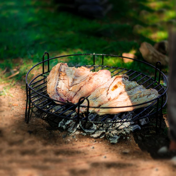 عکس شماره 11 : استند و ساج سفری مدل درخشان به همراه گریل