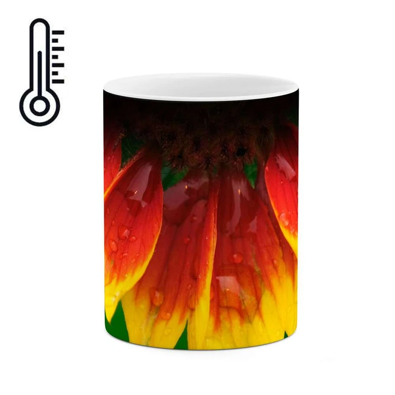 ماگ حرارتی کاکتی مدل گل کد mgh12116