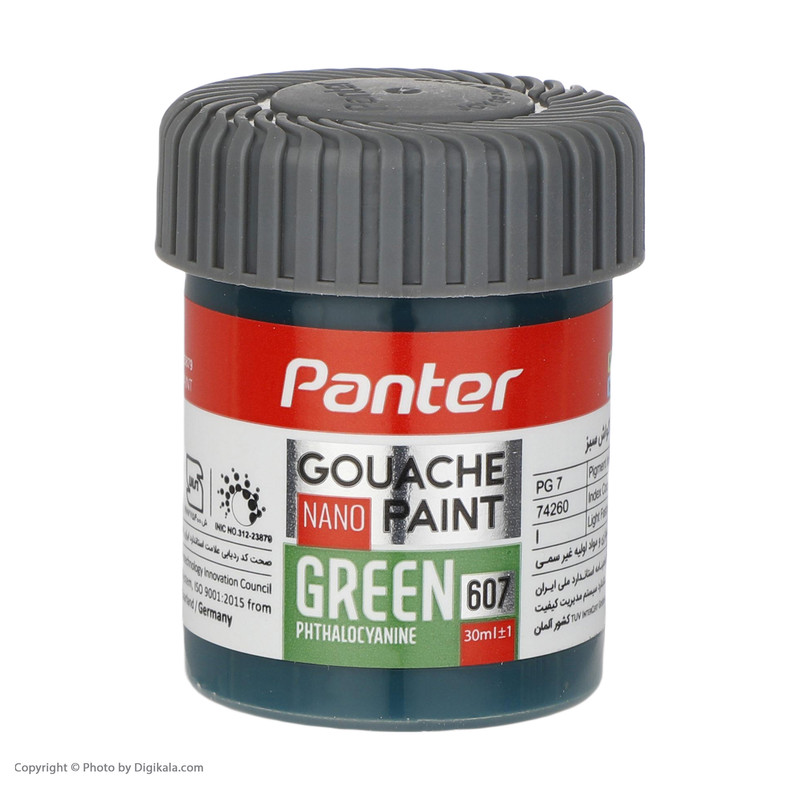 گواش 12 رنگ پنتر کد GP-711-12