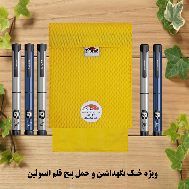 کیف خنک نگهدارنده انسولین لوک آی مدل 5 قلم کد 00 مجموعه 2 عددی