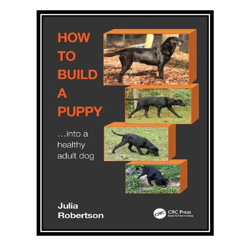 کتاب How to Build a Puppy... Into a Healthy Adult Dog اثر Julia Robertson انتشارات مؤلفین طلایی