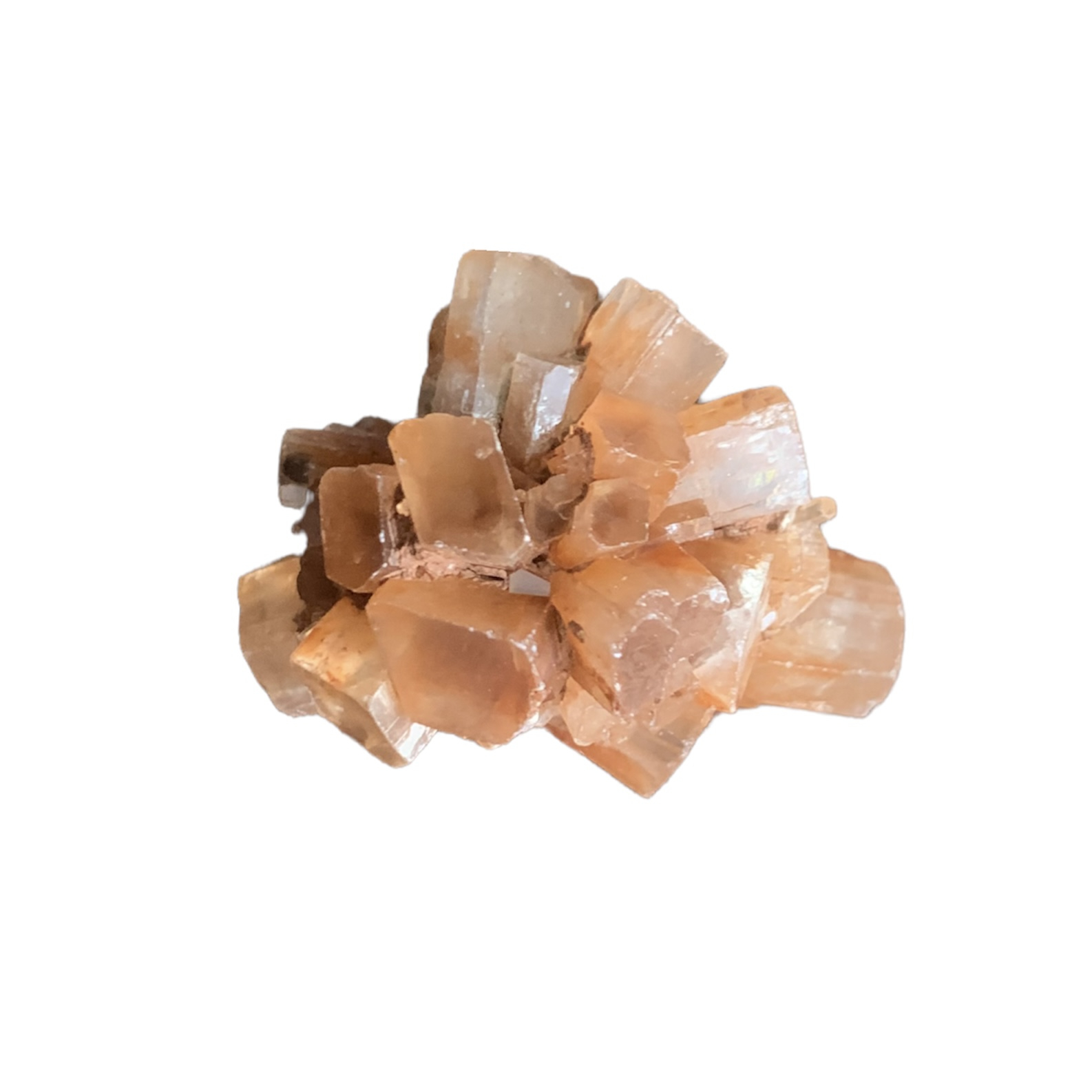 سنگ راف مدل آراگونیت