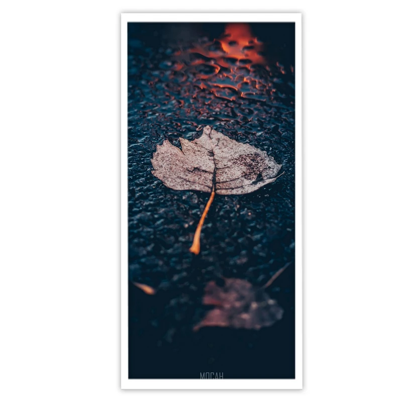 تابلو بکلیت طرح عکاسی هنری طبیعت پاییزی مدل W-S3149