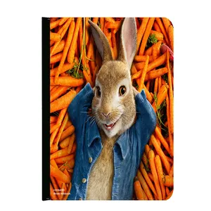 کلاسور هومرو مدل KL2260 طرح پیتر خرگوشه