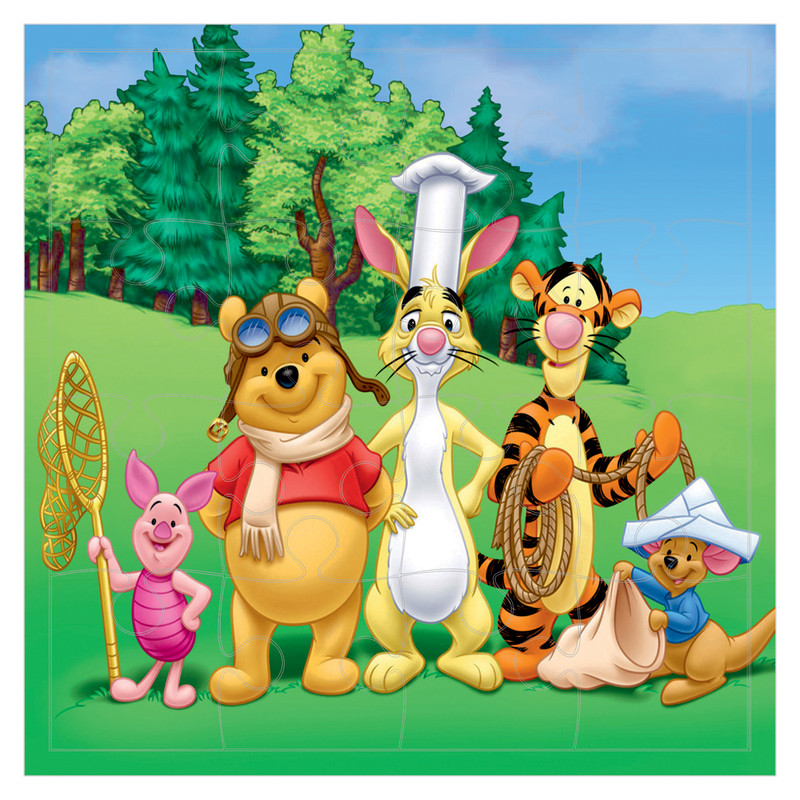 پازل 16 تکه طرح پو مدل HP29