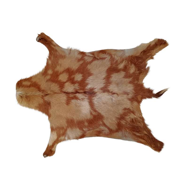 فرش پوست و چرم کمالی مدل AC-00517