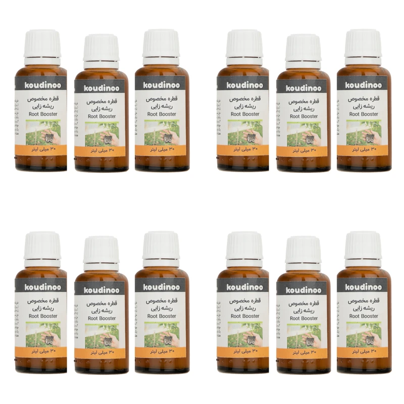   هورمون ریشه زایی کودینو مدل Root Booster  حجم 30 میلی لیتر بسته 12 عددی
