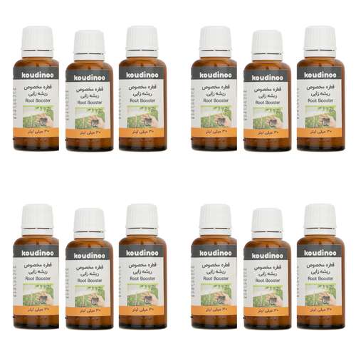 هورمون ریشه زایی کودینو مدل Root Booster حجم 30 میلی لیتر بسته 12 عددی