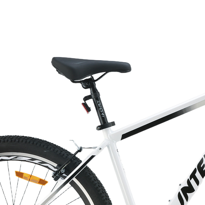 دوچرخه اینتنس مدل Wild Rider سایز 20 کد 2343