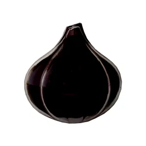 ظرف نگهدارنده پیاز مدل GAR 09